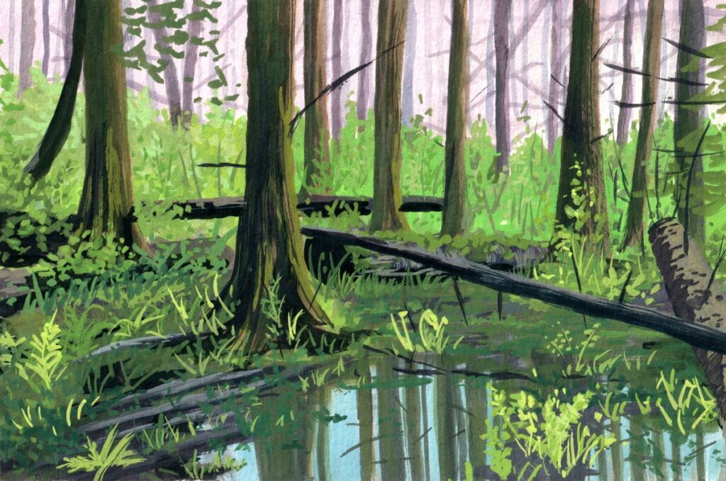 Whyte Lake Forest