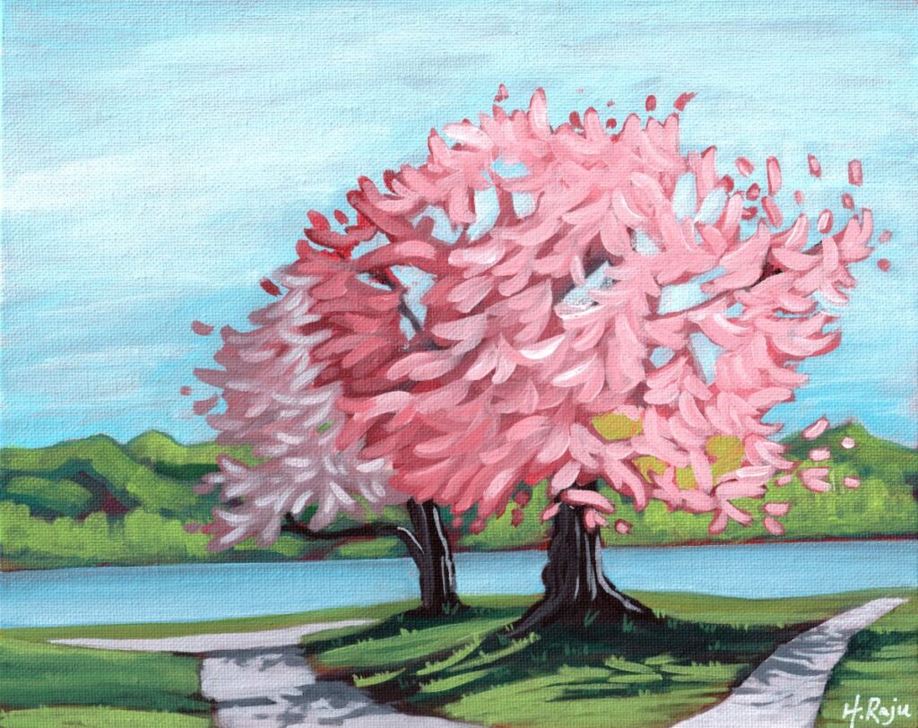 Cherry Blossoms in the Park